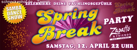 Spring Break Party Werbeplakat