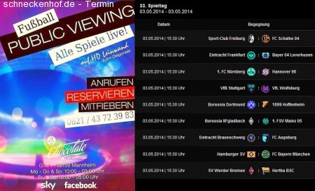 Bundesliga Live auf HD Großleinwand Werbeplakat