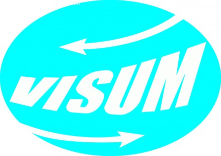 VISUM International Party: Neon Werbeplakat