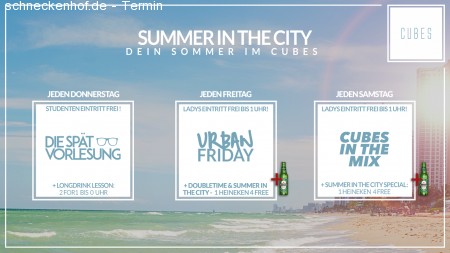 Summer In The City // Die Spätvorlesung Werbeplakat