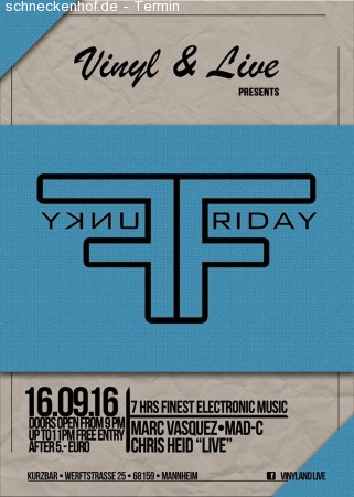 Funky Friday / House Electro Vinyl&Live Werbeplakat