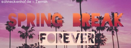 VISUM Spring Break Forever Party Werbeplakat