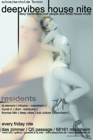 deepvibes house nite Werbeplakat