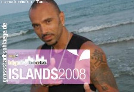 Islands 2008 Werbeplakat