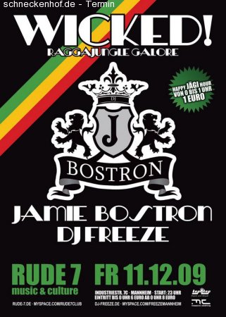 Wicked! Raggajungle vs Danceha Werbeplakat