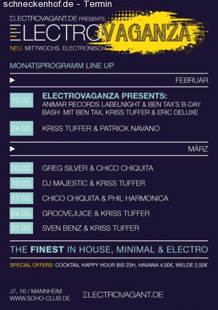 Electrovaganza: DJ Majestic Werbeplakat