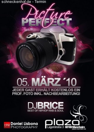 Picture Perfect Werbeplakat