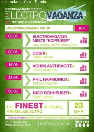 Electrovaganza meets