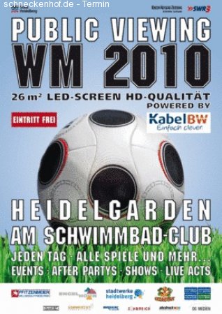 Public Viewing - Finale! Werbeplakat