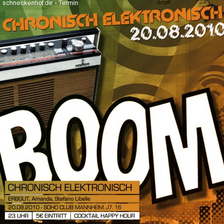 Chronisch Elektronisch Werbeplakat