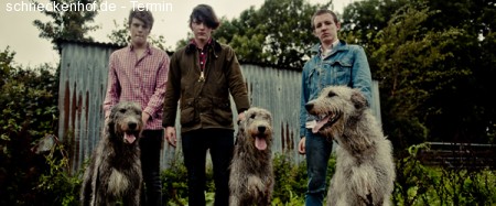 Live: Flashguns Werbeplakat