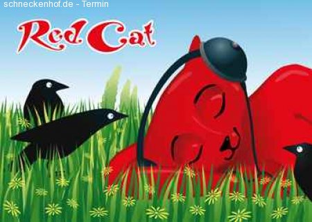 Pop up Club Werbeplakat