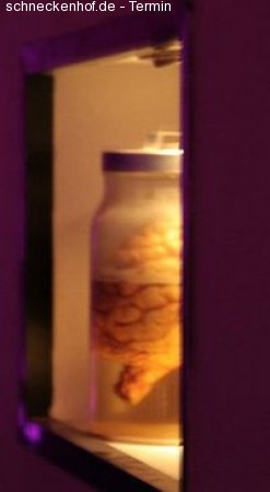 Colombian House Vibes Werbeplakat