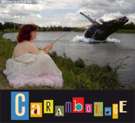 Annamateur & Außensaiter Werbeplakat