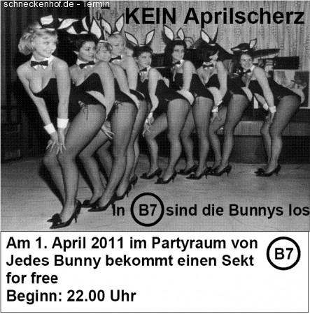 B7 - Hier sind die Bunnys los Werbeplakat
