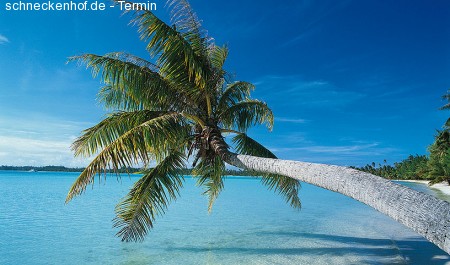 Karibik Feeling Werbeplakat