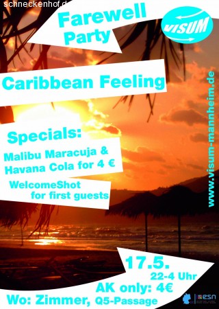 VISUM Farewell Party Werbeplakat