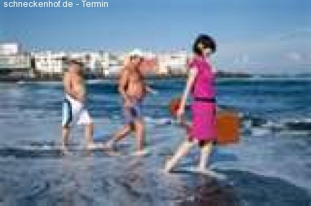 live im blau: Susie Asado Werbeplakat