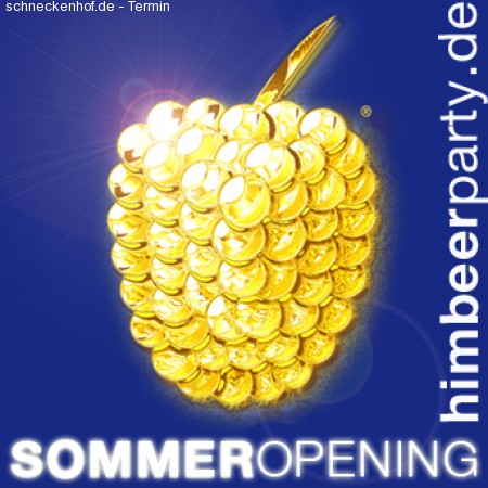 Himbeerparty Sommer Werbeplakat