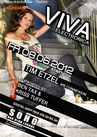 Viva Electronica Werbeplakat