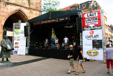 Landauer Sommer Werbeplakat