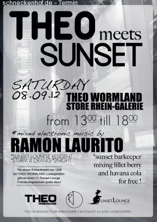 Theo Meets Sunset Werbeplakat