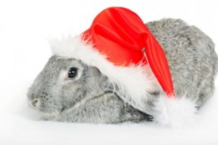 3. Heidelberger Weihnachtsvari Werbeplakat