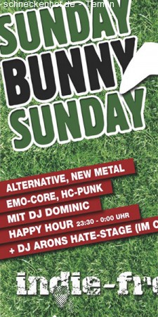 Indie Freitag- Sunday Bunny Werbeplakat