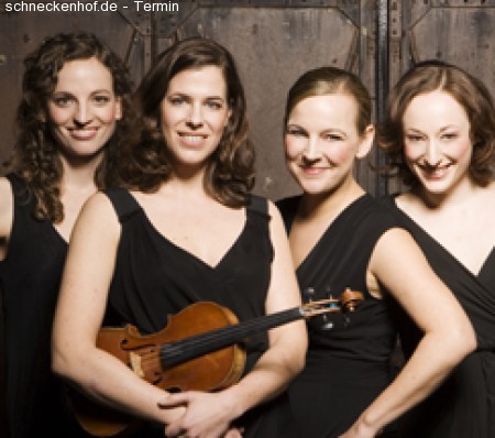 Salut Salon Werbeplakat