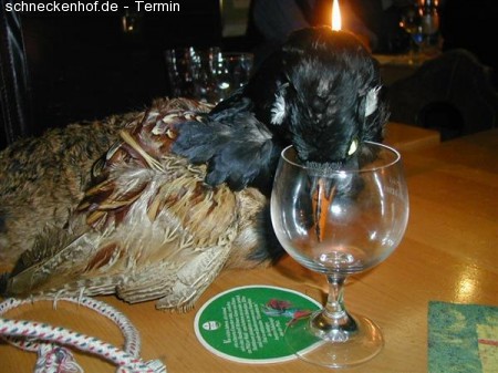 Einführung in  Trittchelogie Werbeplakat