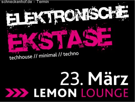 Elektronische Ekstase Werbeplakat