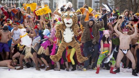 Do the Harlem Shake Party!!! Werbeplakat