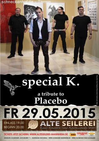 Special K - A Tribute To Placebo Werbeplakat